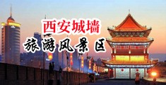 日本美女扣逼网中国陕西-西安城墙旅游风景区